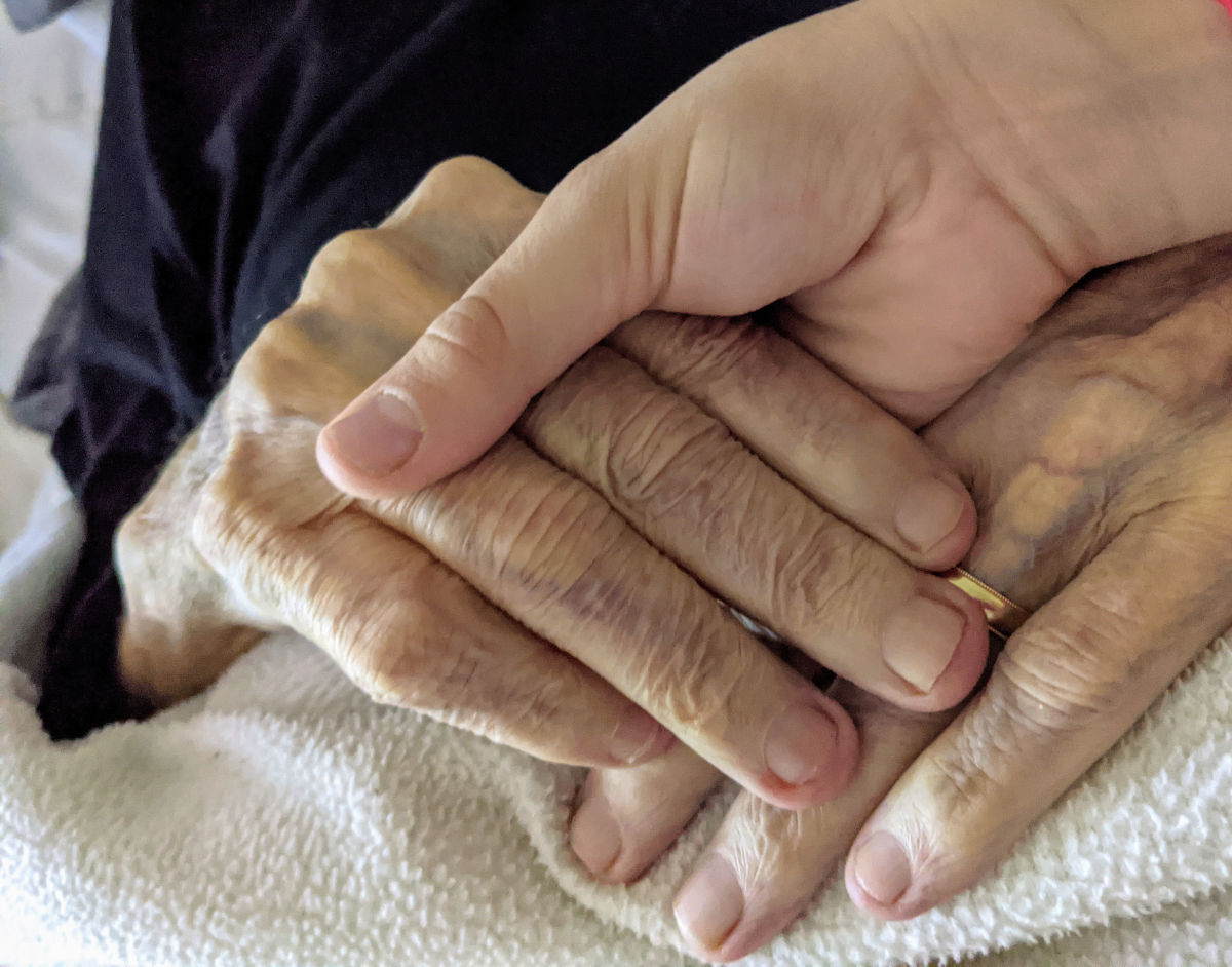 Photo of a young hand holding an older hand.